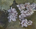 gal/fineart/Still life/_thb_Magnolia 24x30.jpg